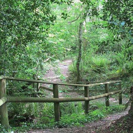 Castle Brake Holiday Park Έξετερ Εξωτερικό φωτογραφία